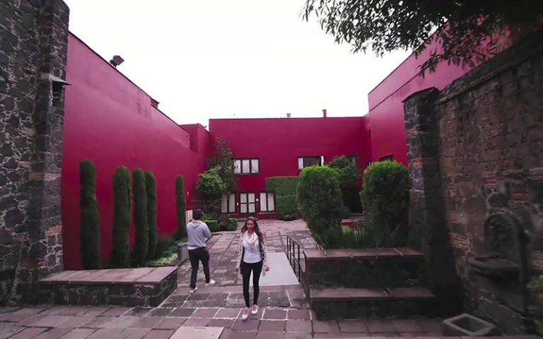 Proyecto de fortalecimiento