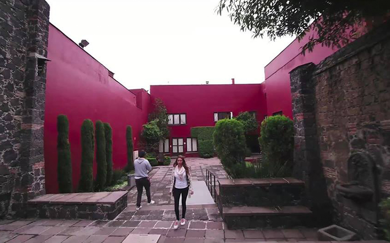 Proyecto de fortalecimiento