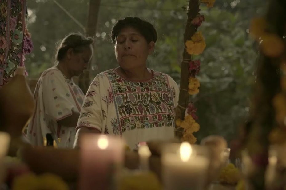 Flores de la llanura