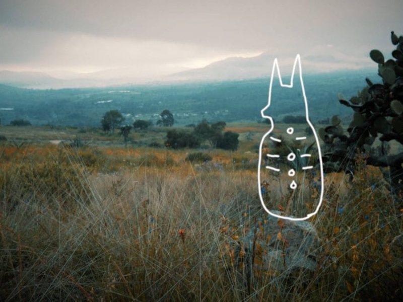 3e758b86-9814-e522-ee57-813c0a5e627a (1)